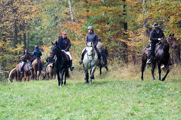 22851825_758121457722406_1943077997165563819_n