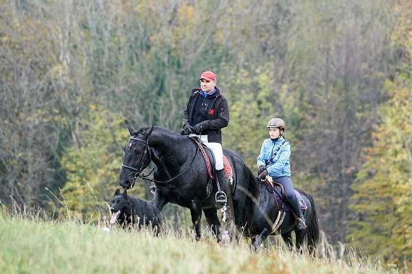 22885865_758121451055740_8269281107664902856_n