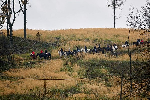 23031427_758121494389069_6487114923296750714_n