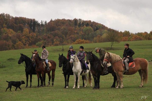 14900436_596074433927110_2249533739494935404_n