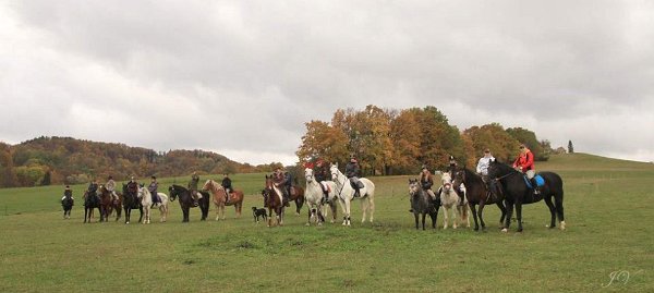 14907016_596074323927121_59222623990780949_n