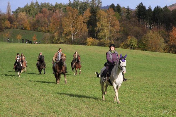 14908202_596074543927099_3532457683243339304_n