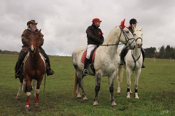 14937193_596074460593774_5071801501586148152_n