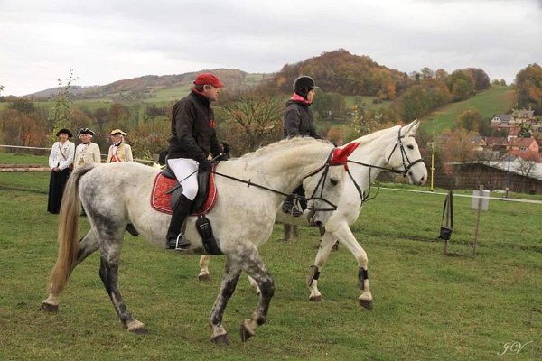 14938309_596074390593781_5277706512519999567_n