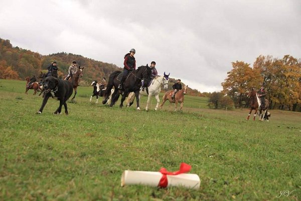 14955783_596074337260453_7876329746779783197_n