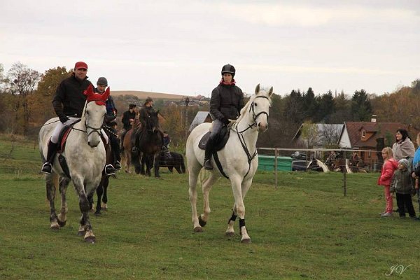 14955827_596074333927120_8318382448103942029_n