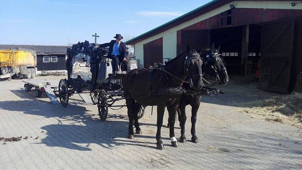 12987181_516805215187366_6554224000457914950_n