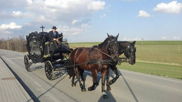 12994517_516805325187355_8056552664514136573_n