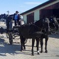 jezdecky-festival-lysa-nad-labem-20-3-2016-1