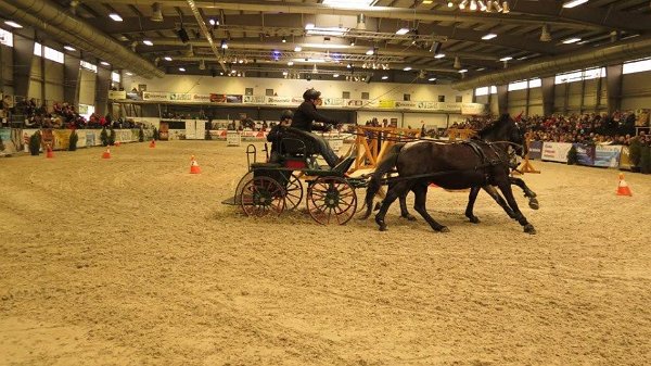 10334357_507719166095971_7480004696567211140_n