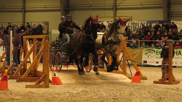 10610806_507719199429301_6623795443020762999_n