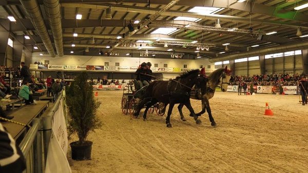 12063825_507719209429300_3903054166762712336_n