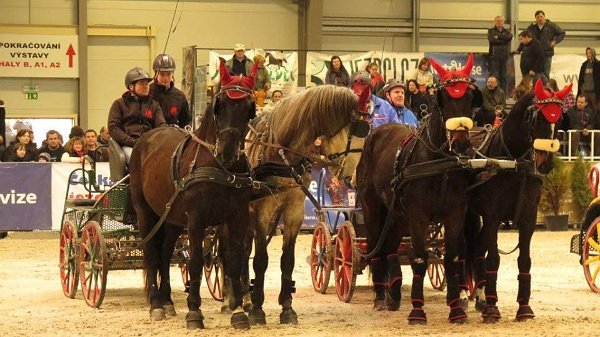 12063825_507719252762629_7156212469286818610_n