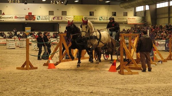 1557711_507719149429306_5831899811123473846_n