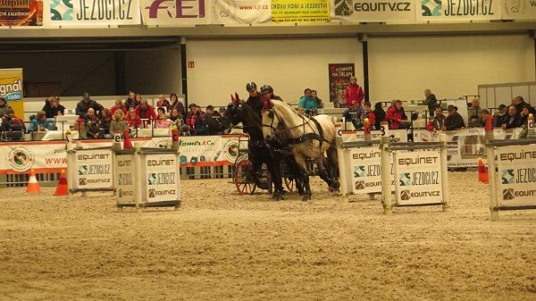 1916452_507719172762637_6250632172854105120_n