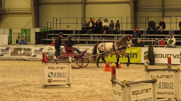 1934498_507719116095976_4482830441562011404_n