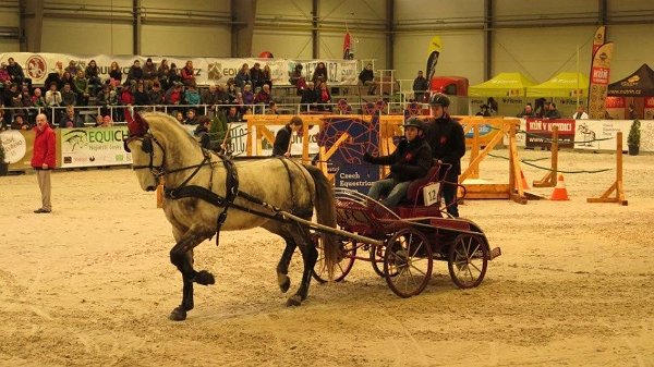 600167_507719076095980_7675217377215174653_n