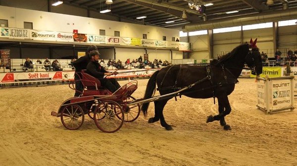 8413_507719099429311_5125209214343209475_n