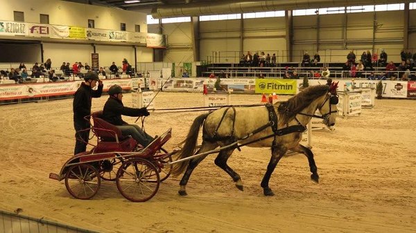 944655_507719066095981_4654801719042574646_n