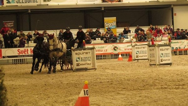 944847_507719189429302_7342998553741154312_n