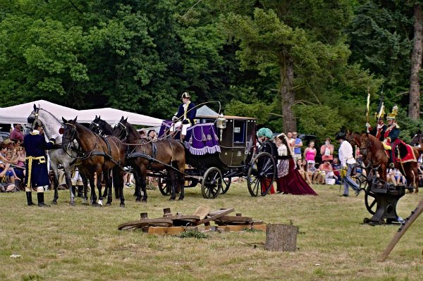 11935060_446088122259076_1105272493176579867_n