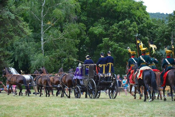 11951183_446088362259052_7945172658838856009_n