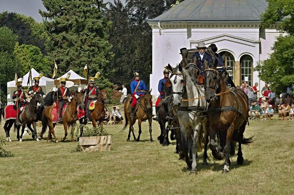 11029651_446087925592429_793868082751979082_n