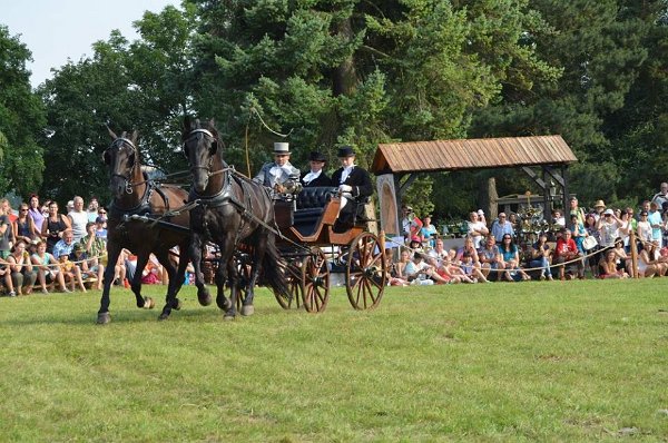 13873209_555762797958274_7831035018839008855_n