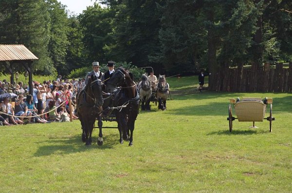 13882346_555762764624944_1046867141361862396_n