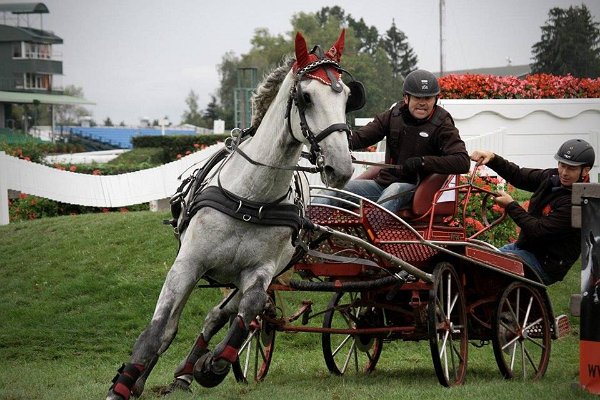 21616269_742426185958600_6262489052297422994_n