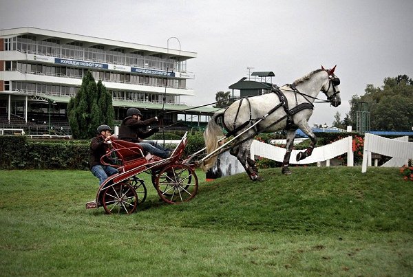 21752039_742426182625267_128998416183690458_n