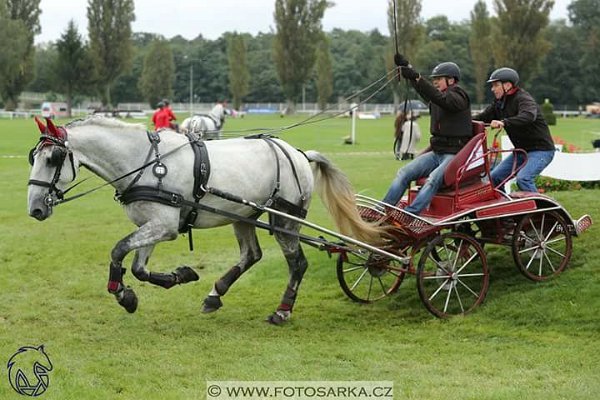 21761668_743278439206708_4288767261839521342_n