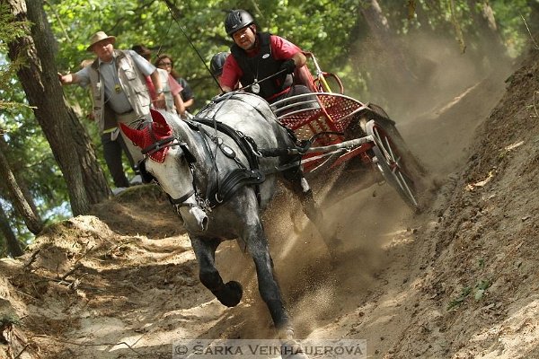 12027720_455971117937443_5163137829505103021_n