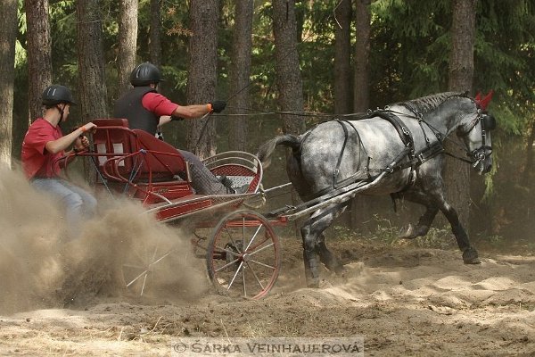 12032088_455970964604125_8505606062257467993_n