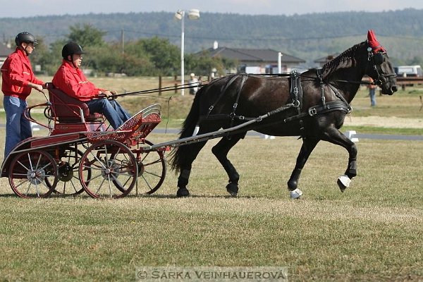 12033019_455970937937461_7933484347115821457_n