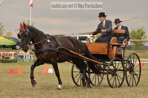 12033206_455970717937483_5805565011294470475_n