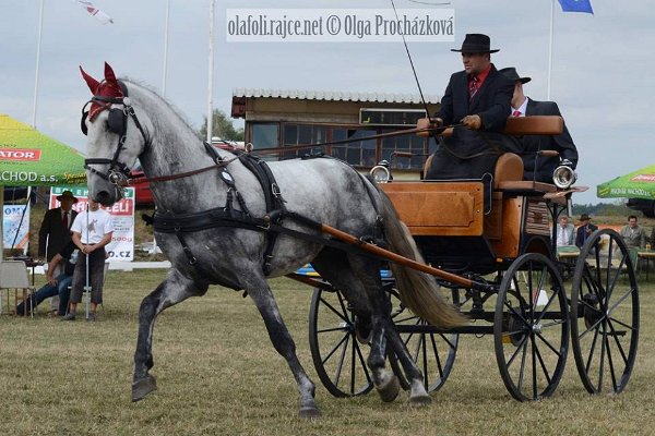 12036529_455970797937475_2857833485358454069_n