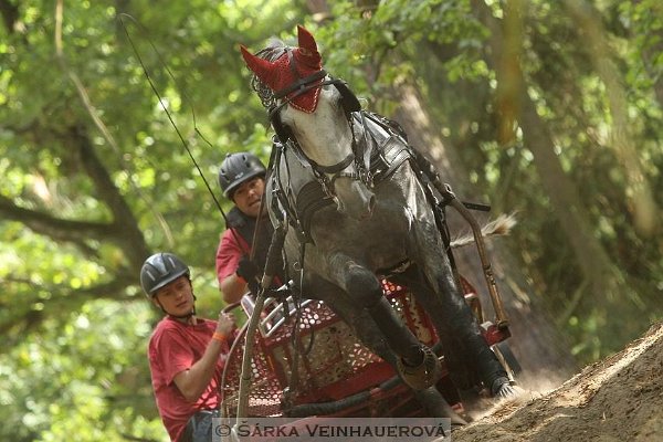 12036885_455971114604110_7306450928902517739_n