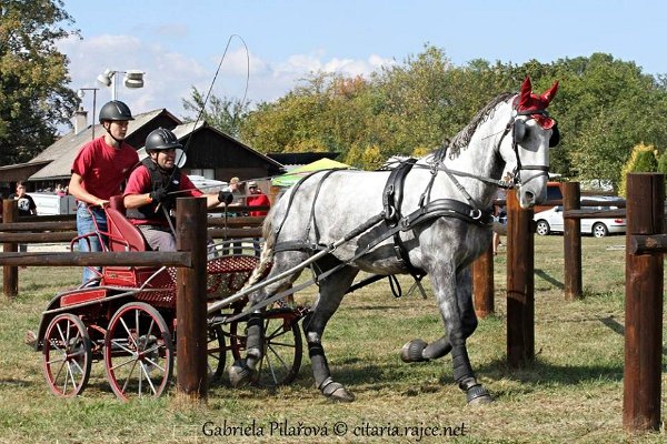 12043181_455970991270789_3887021420208052276_n