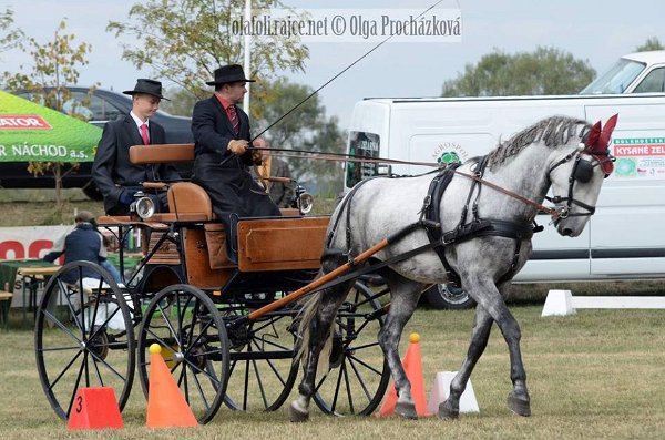 12046622_455970774604144_3627327876113506029_n