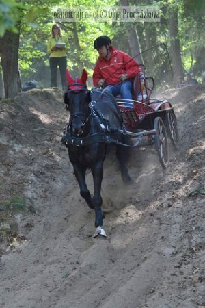 12049397_455970714604150_456048435376253749_n