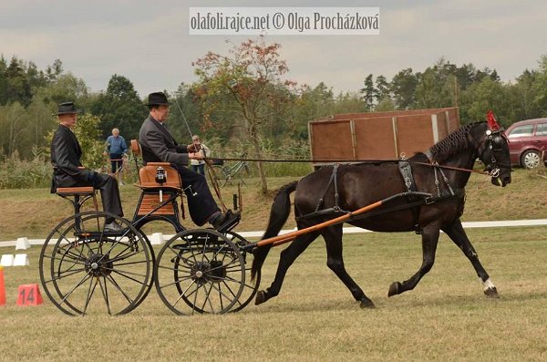 12049443_455970727937482_5937880843448972608_n