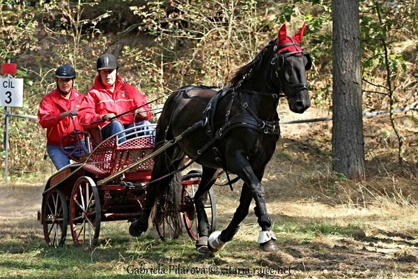 12065547_455970827937472_6899659658170859721_n