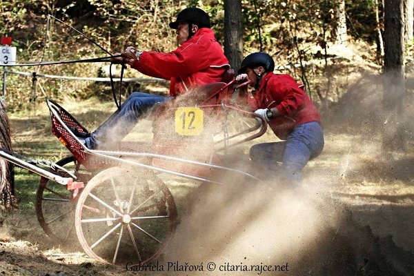 12075046_455970844604137_2355951357674680394_n