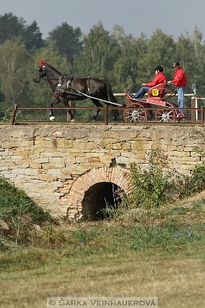 12079467_455970901270798_1766229028802366582_n