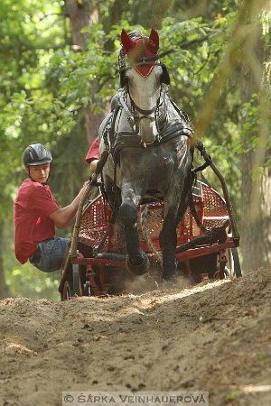 12088122_455970994604122_7303760036940323765_n