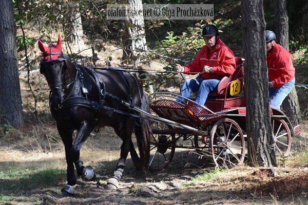 12088160_455970677937487_7186581775641687851_n