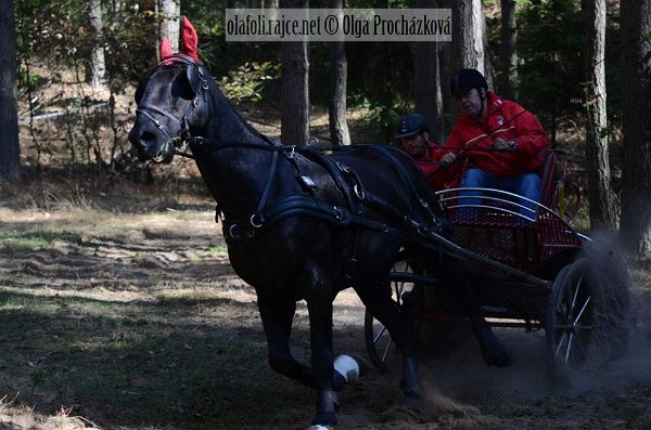 12096221_455970671270821_400937056514430672_n