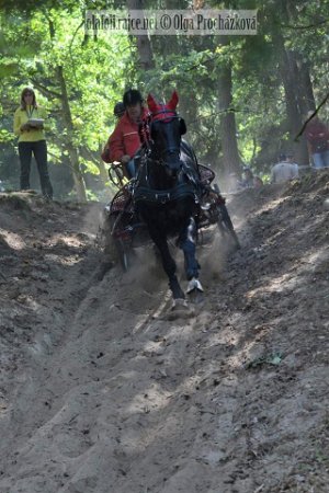 12096630_455970674604154_1680330696758882928_n