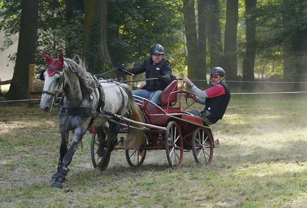 14440722_578611905673363_8662048549726350852_n